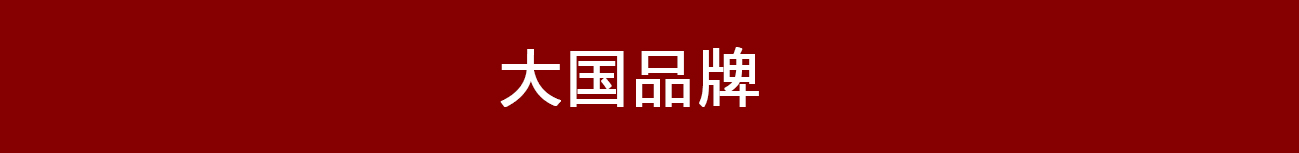 大国品牌-1.jpg